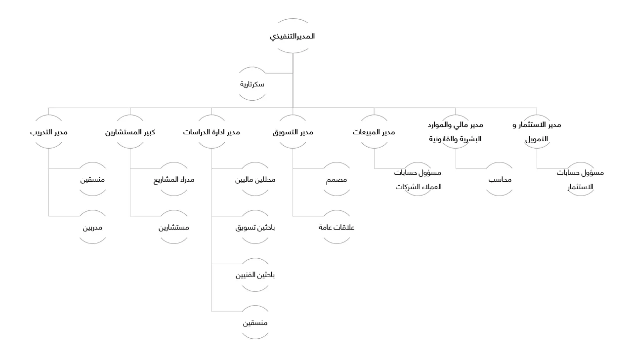 الهيكل الوظيفي لشركة شقير