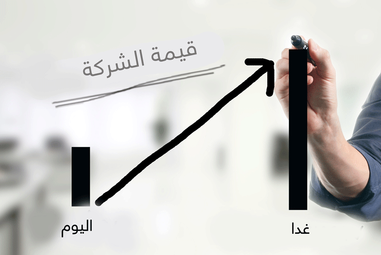 تقييم الشركات الشركة المشاريع استدامة ونجاح المشاريع