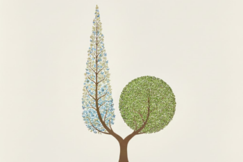 تأسيس مشروع في الكويت